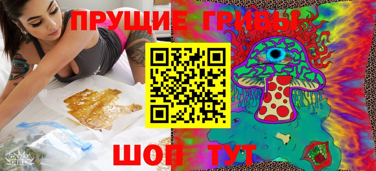 Псилоцибиновые грибы MAGIC MUSHROOMS  Галлюциногенные грибы мицелий  Владимир  Вход с VPN 